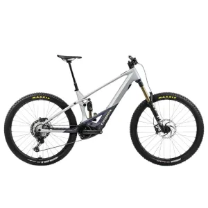 2024 Orbea Wild M-TEAM 20MPH