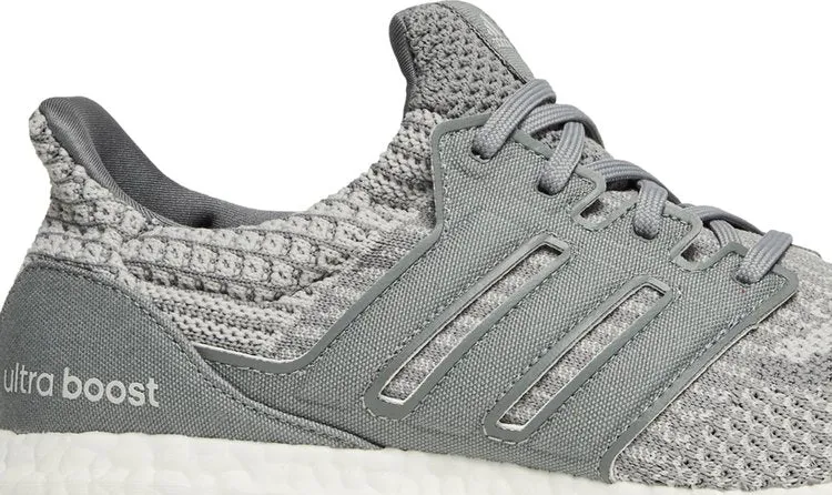 Adidas UltraBoost 5.0 DNA sneakers, gray