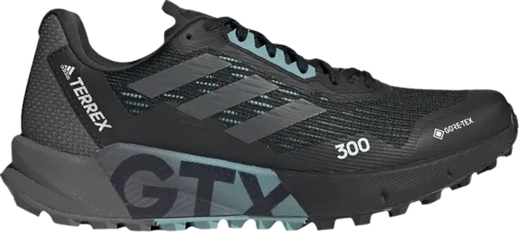 Adidas Wmns Terrex Agravic Flow 2.0 GTX 'Black Gray Mint Ton' Sneakers, Black