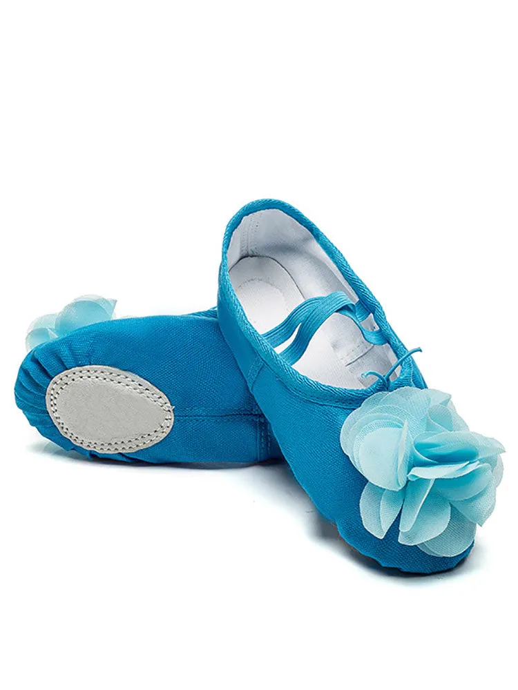 Ballet Soft Sole Exercise Shoes Flower Cat Claw Dance Shoes