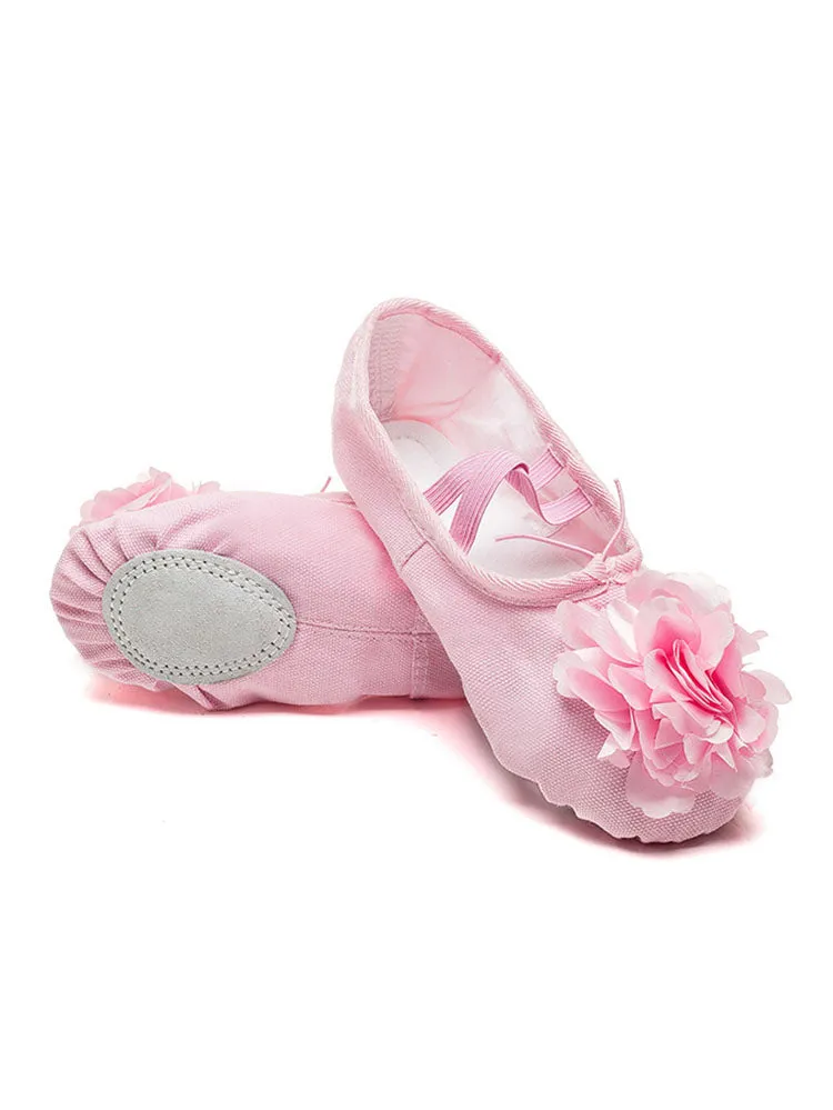 Ballet Soft Sole Exercise Shoes Flower Cat Claw Dance Shoes