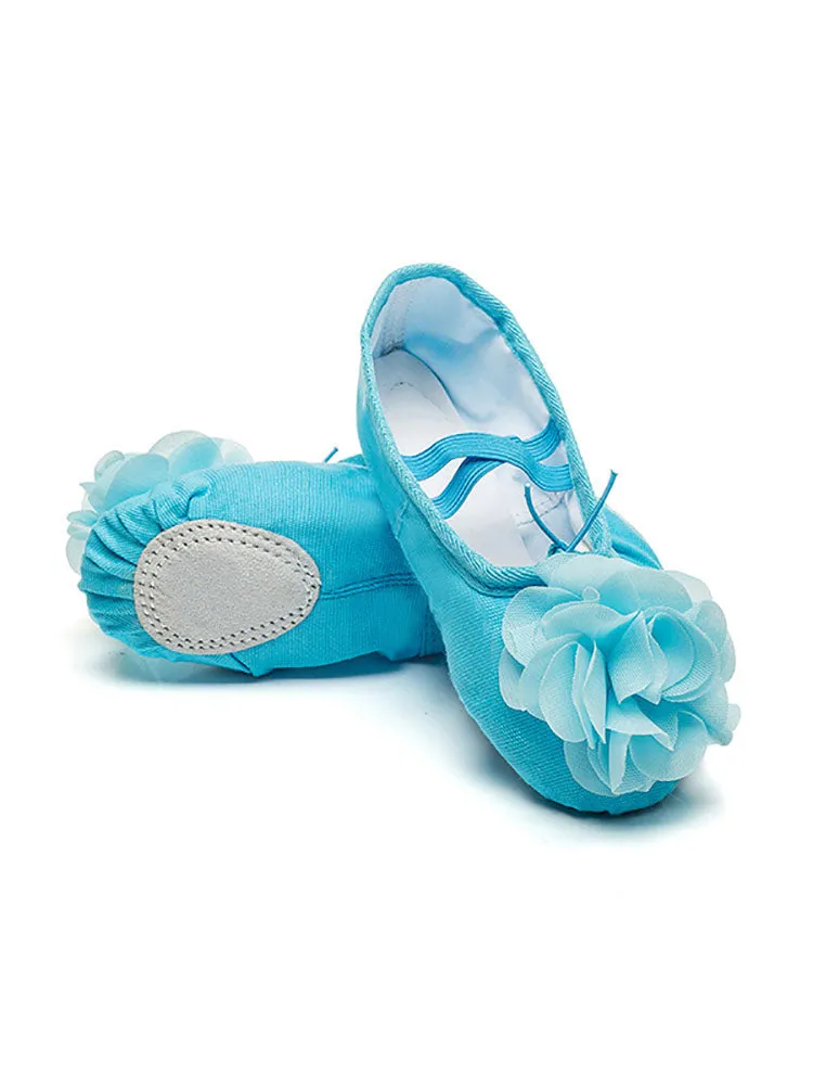 Ballet Soft Sole Exercise Shoes Flower Cat Claw Dance Shoes