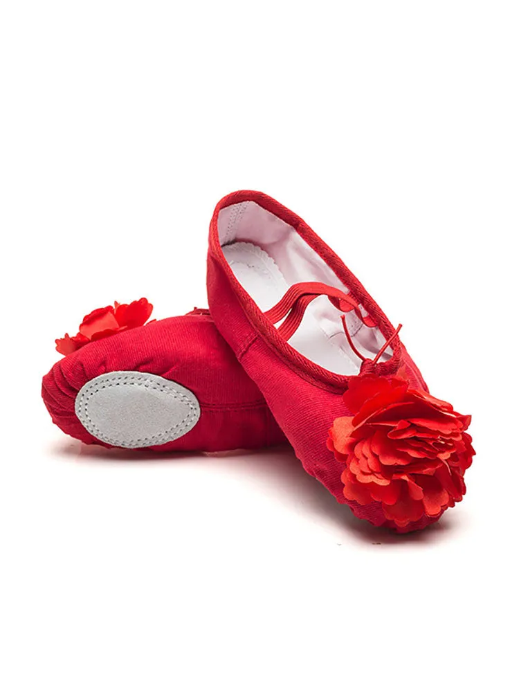 Ballet Soft Sole Exercise Shoes Flower Cat Claw Dance Shoes