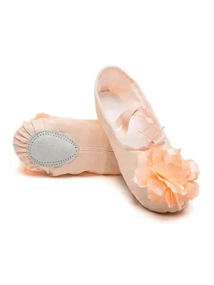 Ballet Soft Sole Exercise Shoes Flower Cat Claw Dance Shoes
