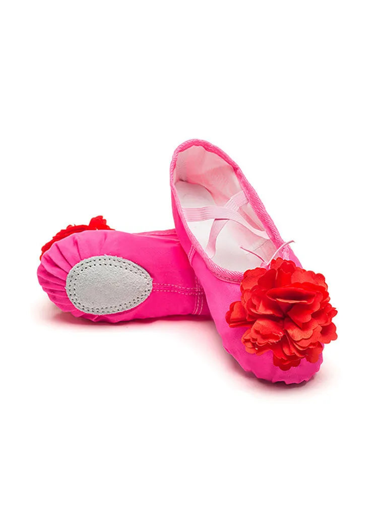 Ballet Soft Sole Exercise Shoes Flower Cat Claw Dance Shoes