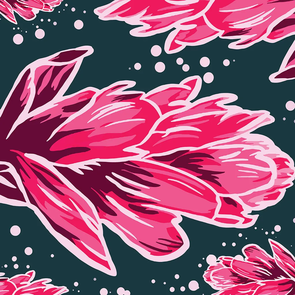 Castilleja by Vanessa Schultz