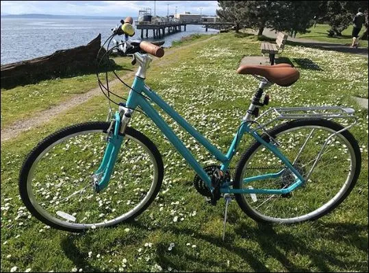 sixthreezero Pave n' Trail Women's 7 Speed Hybrid Bike