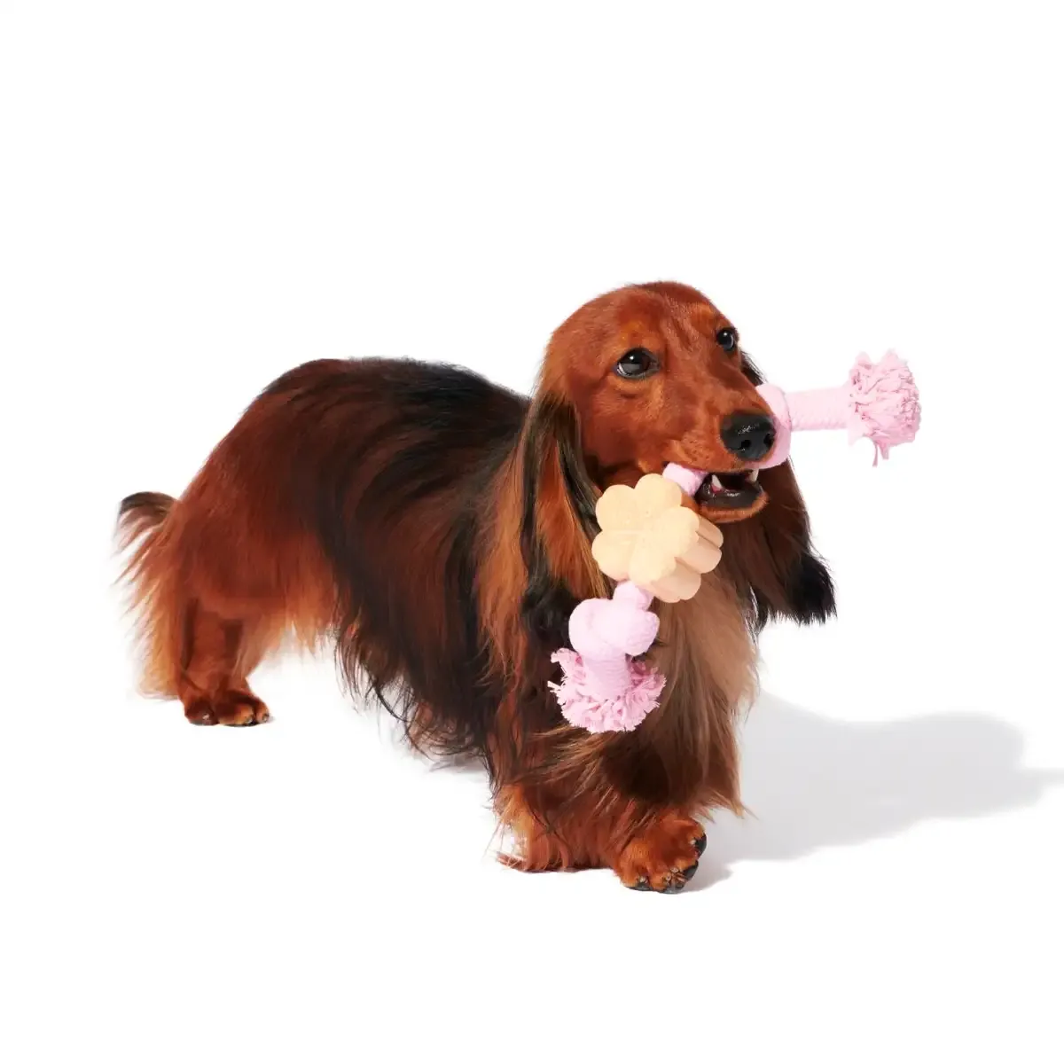 Vetreska - Cherry Blossom Knot Rope Toy